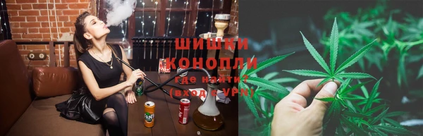 эйфоретик Аркадак