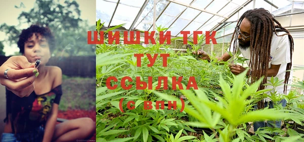 прущие грибы Армянск