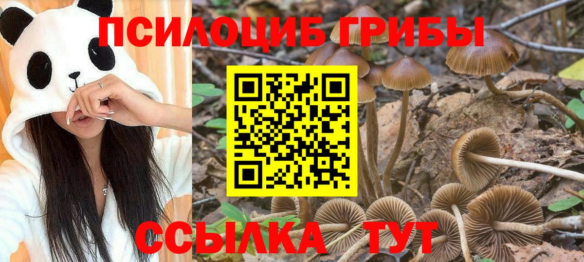 Долгопрудный  Галлюциногенные грибы мицелий  Вход с VPN 