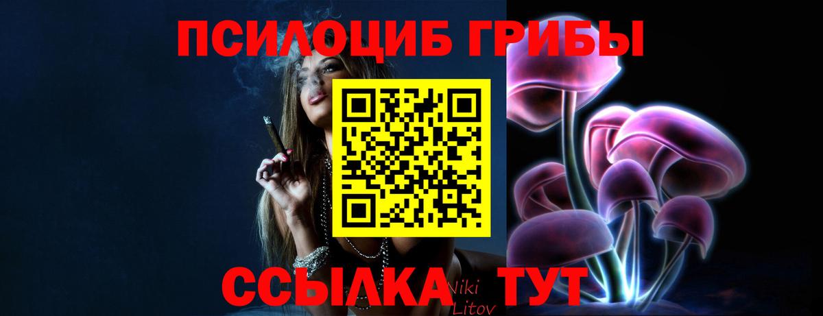 Псилоцибиновые грибы мухоморы Долгопрудный